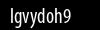 Biztonsági kód