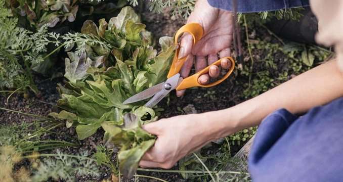 Fiskars Classic univerzális kerti olló 18cm